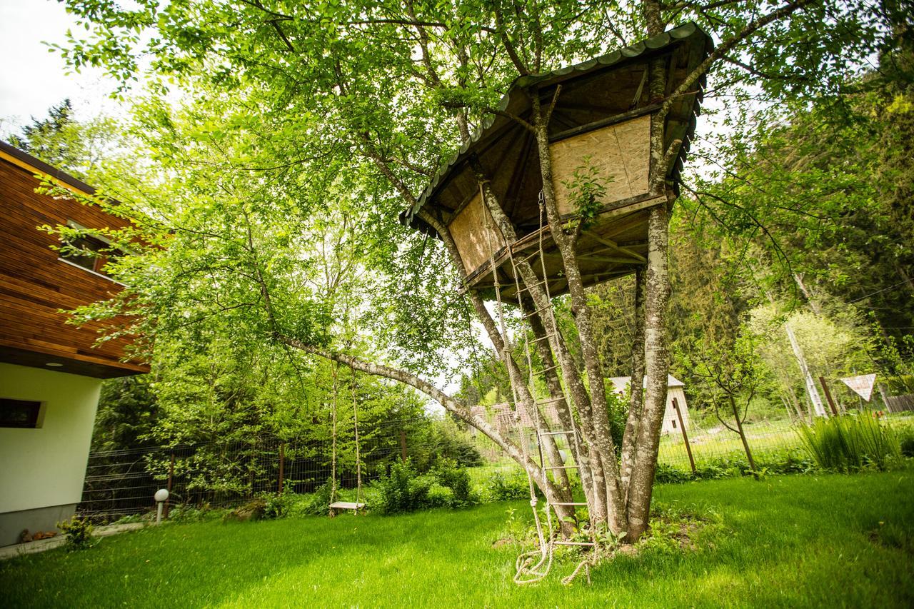 Cabana Jasmin Băile Chirui Екстериор снимка